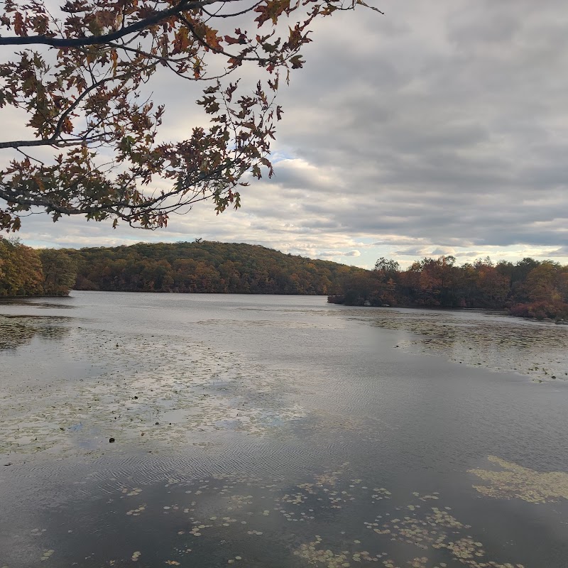 Federal Hill Property