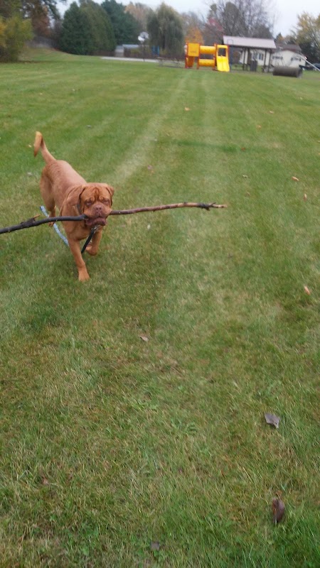 Strawberry Commons Park