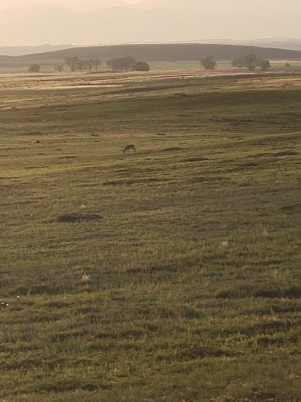 First Creek Overlook
