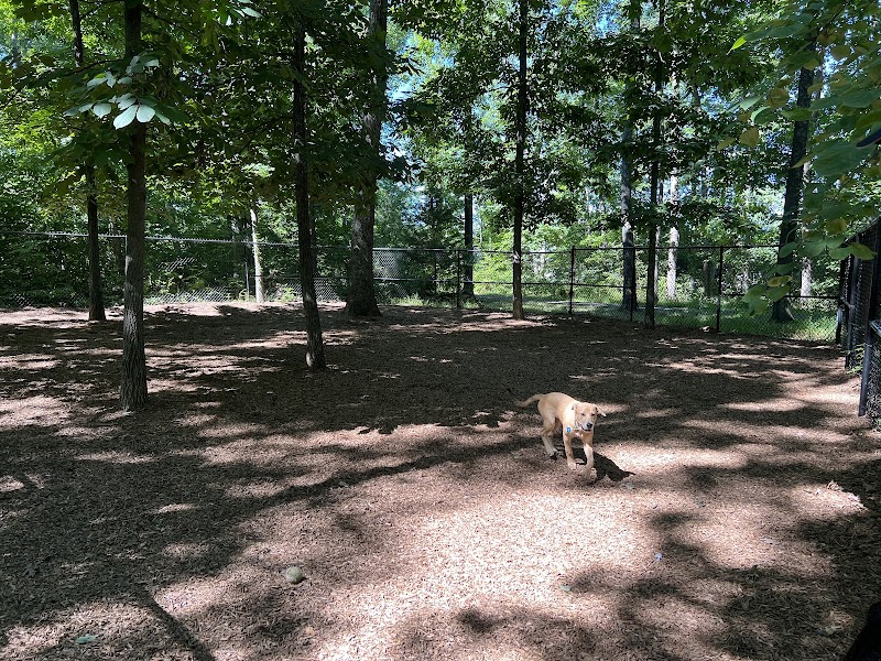 Regency Dog Park