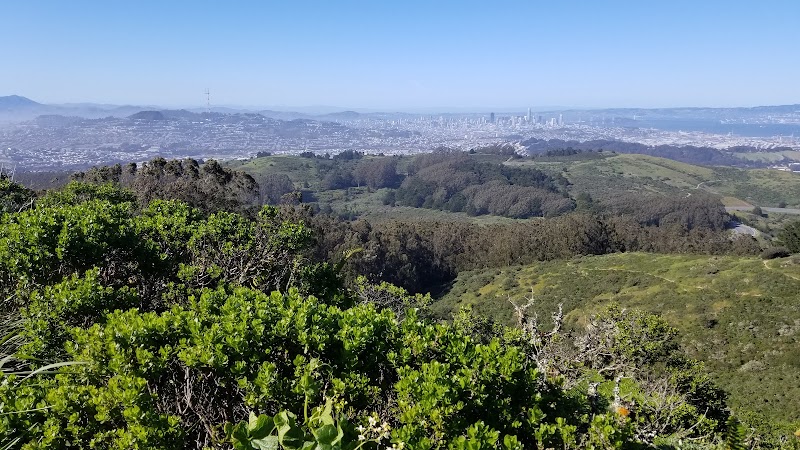 San Bruno Mountain State Park