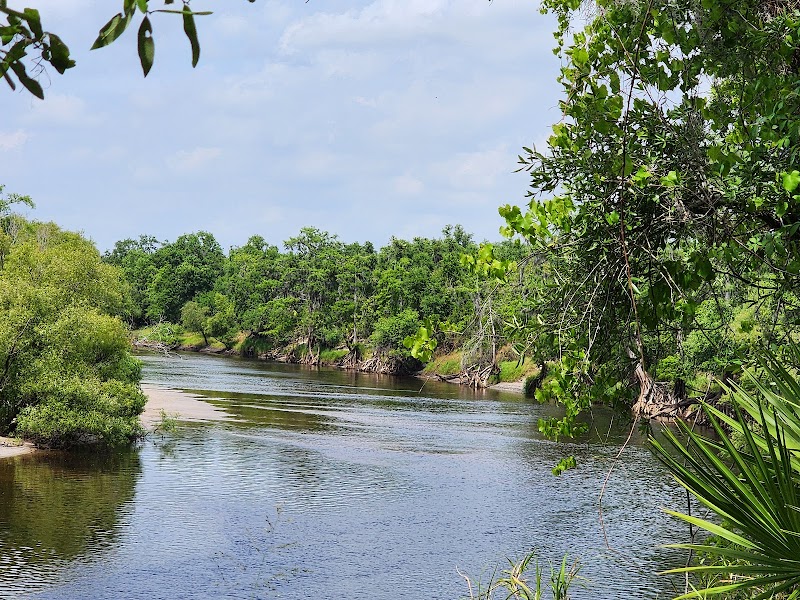 Morgan park north trail end