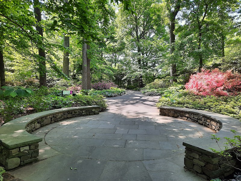 Azalea Garden