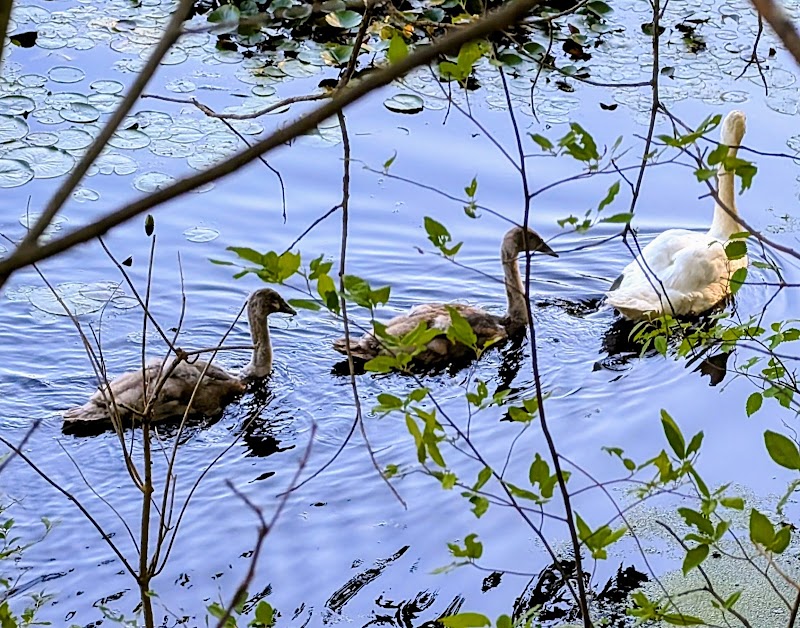 Rail Trail - Hopewell Depot Parking