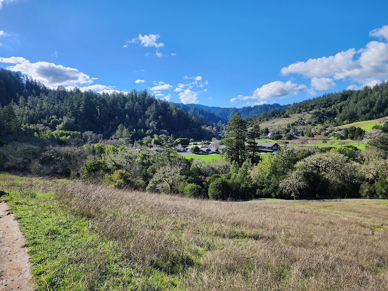 Maurice Thorner Memorial Preserve