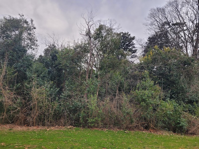 Little Sugar Creek Greenway: Tyvola Road to Huntingtowne Farm Park