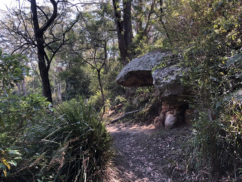 Great North Walk - Lane Cove National Park