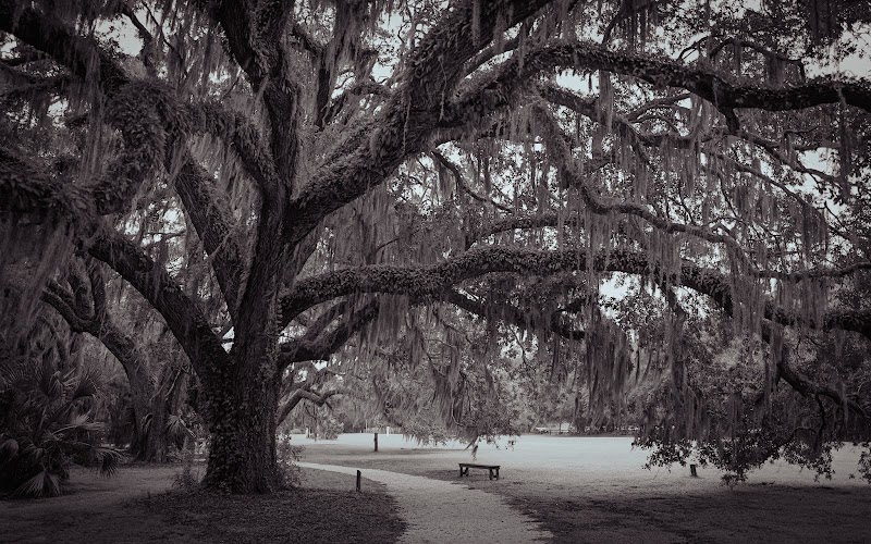 Nan Lloyd Nature Trail