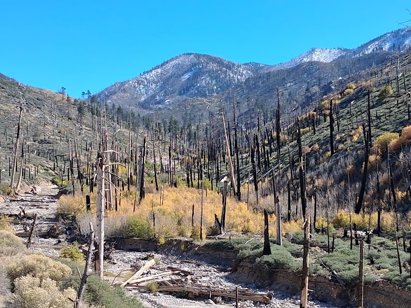 Aspen Grove Trail 2E05