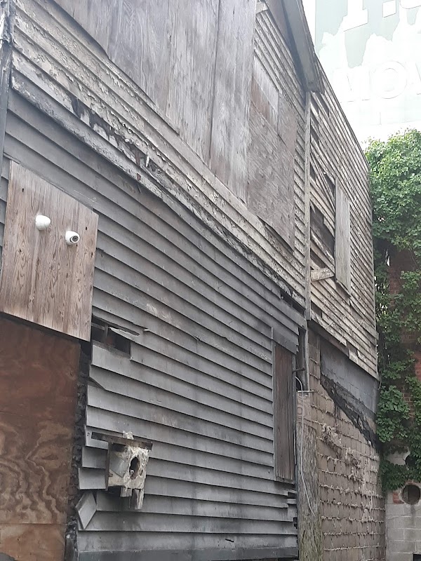 Mary and Eliza Freeman Houses