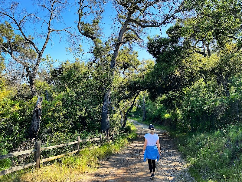 Questhaven Road Nature Trail: Upper Trailhead