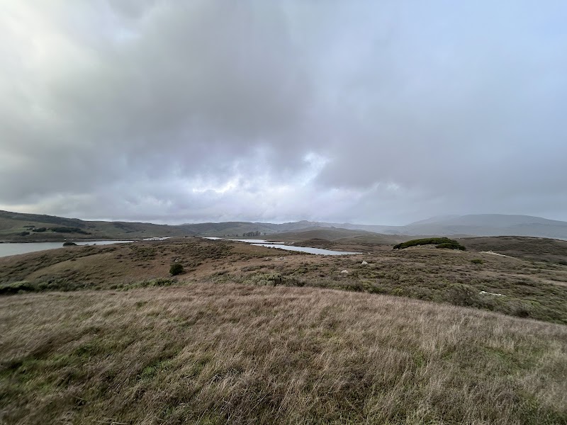 Nicasio Reservoir Peninsula