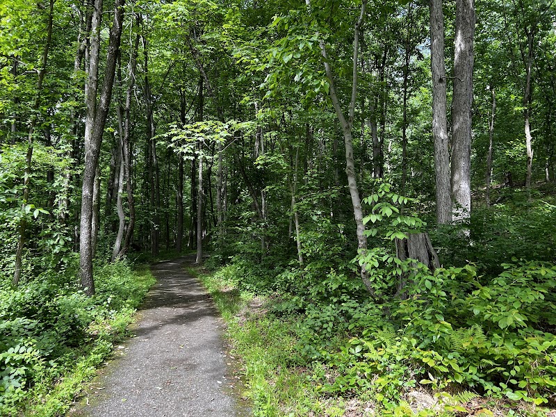 The Trails at Cowenton Ridge Park