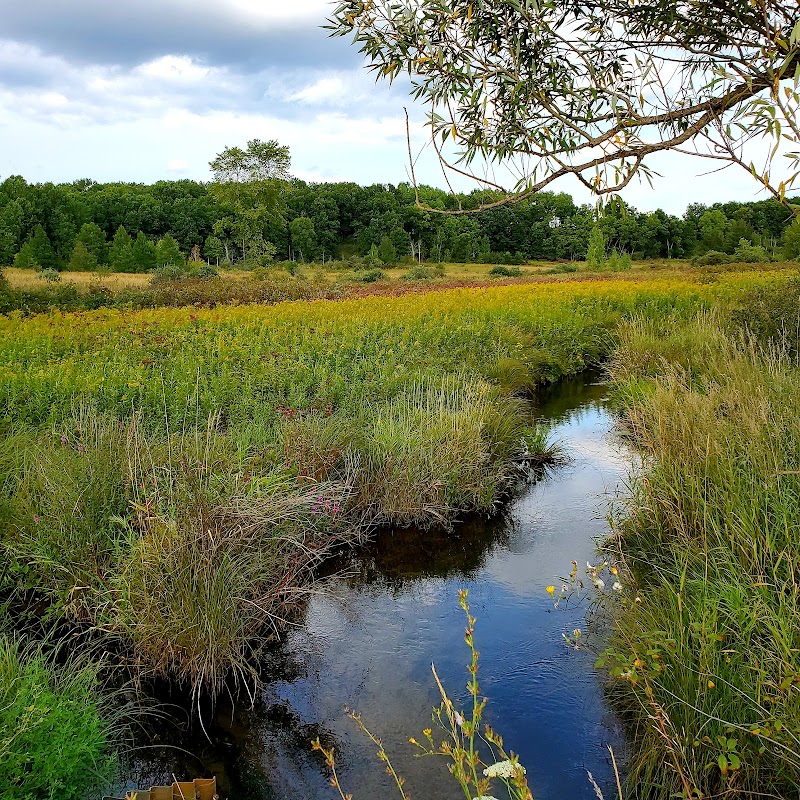 Kimball Preserve (Blue Heron Headwaters Conservancy)