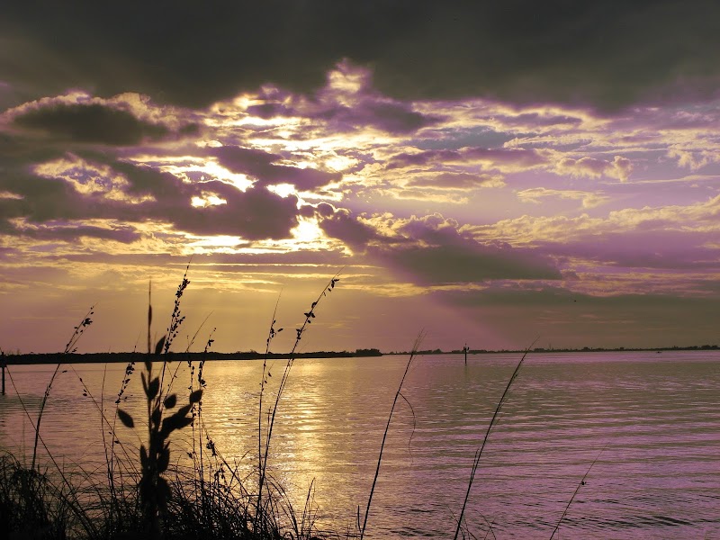 Emerson Point Preserve