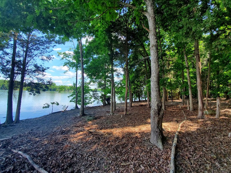 Lake Davidson Island