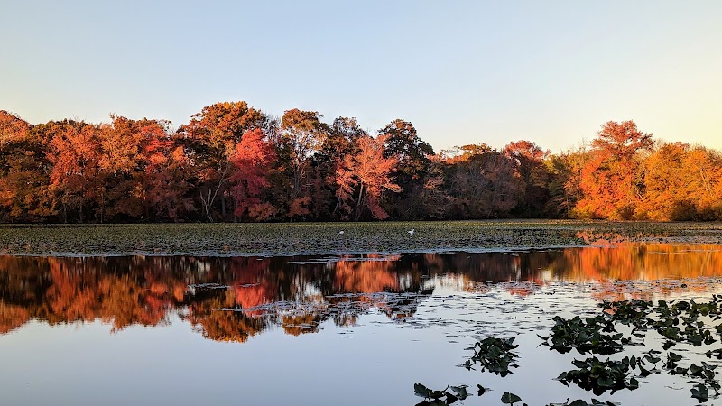 Twin Lakes Preserve
