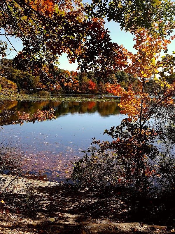Twin Lakes Preserve