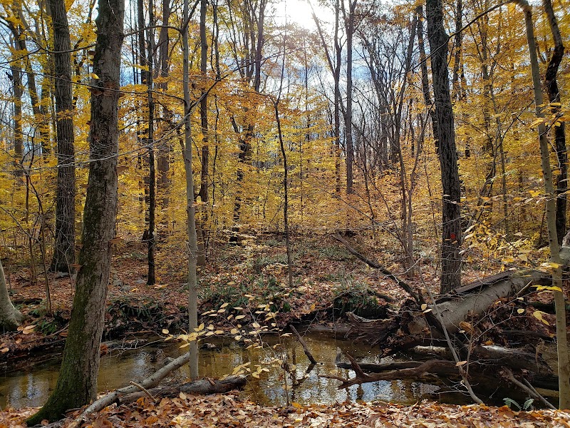 Lake Marguerite Wildlife Refuge