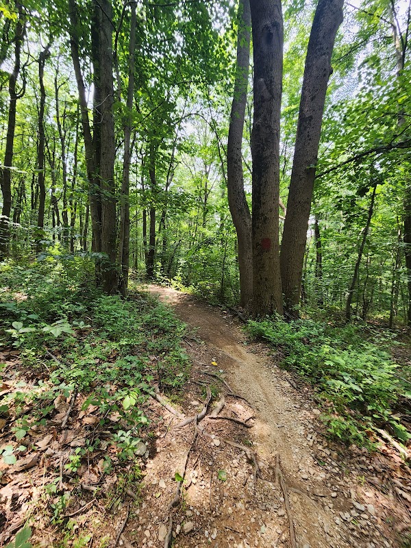 Harmony Hill Nature Area