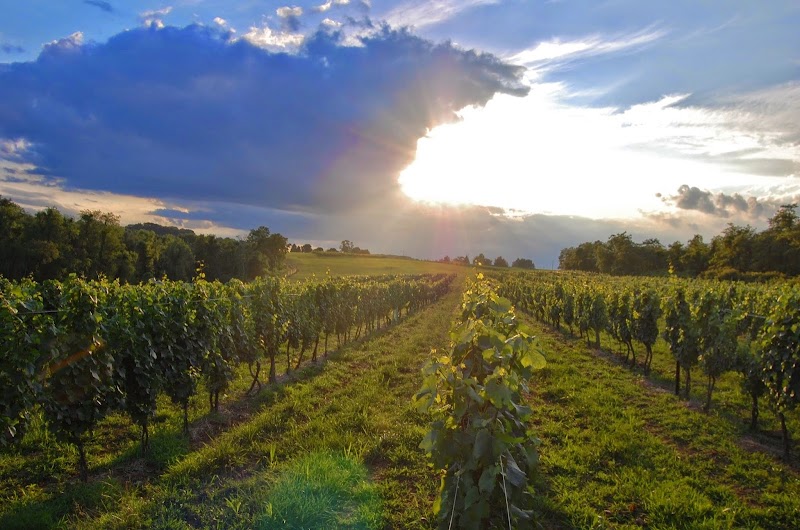 Allegro Winery
