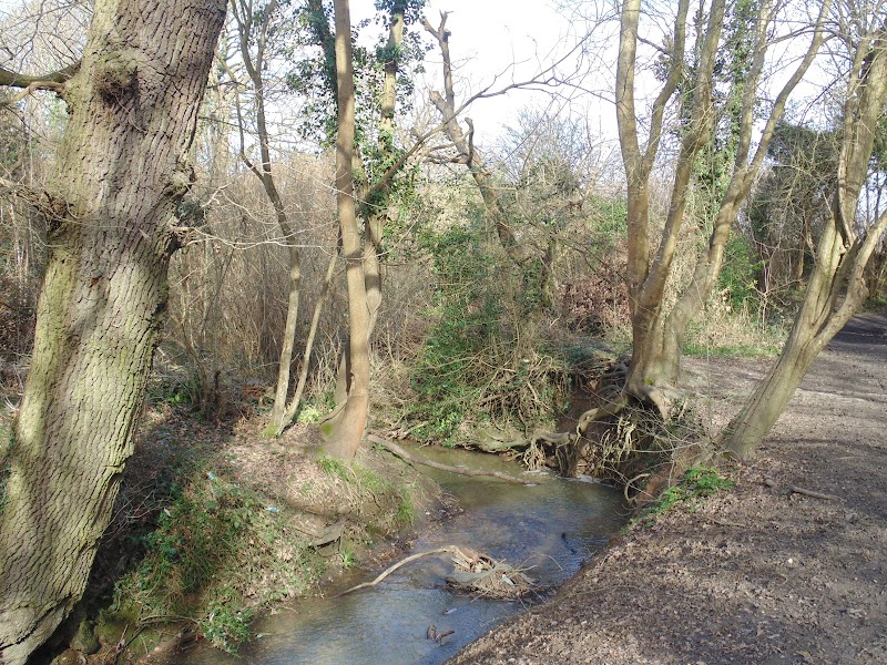 Castle Hill Nature Reserve