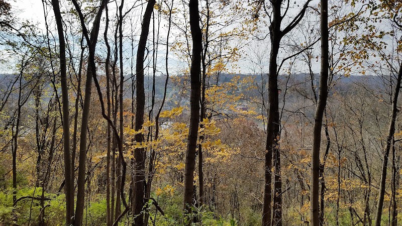 Whetzel Preserve Conservation Area