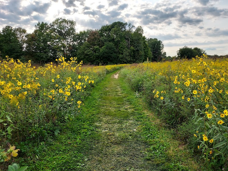 Springfield Bog Metro Park