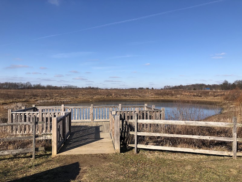 Springfield Bog Metro Park