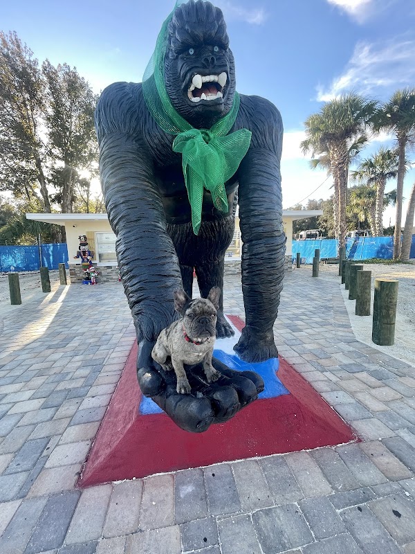 Crystal River Gorilla