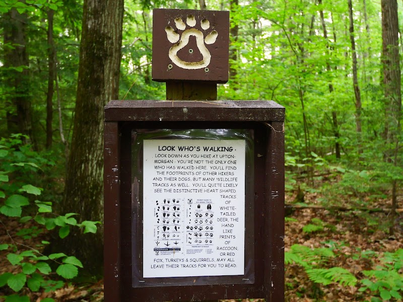 Upton-Morgan State Forest