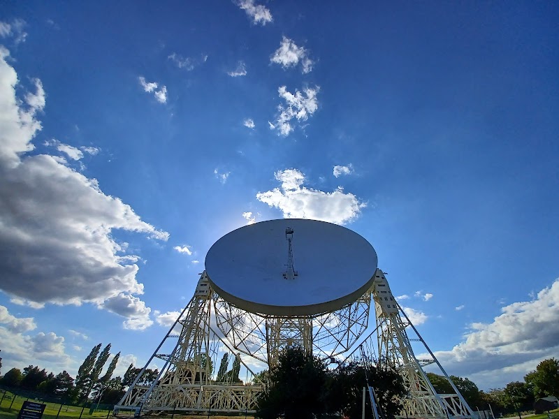 Lovell Tree Collection