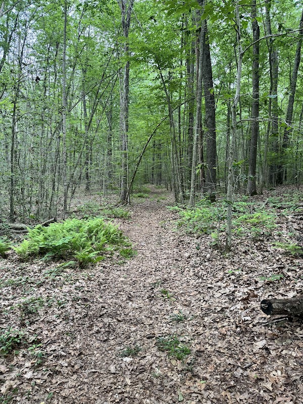 Blinnshed Loop Trail