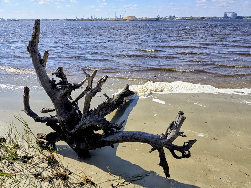 Lion’s Club Blue Cypress Boardwalk