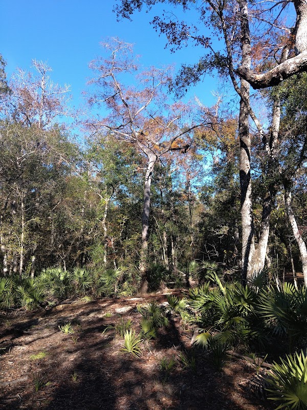 Watson Island State Forest