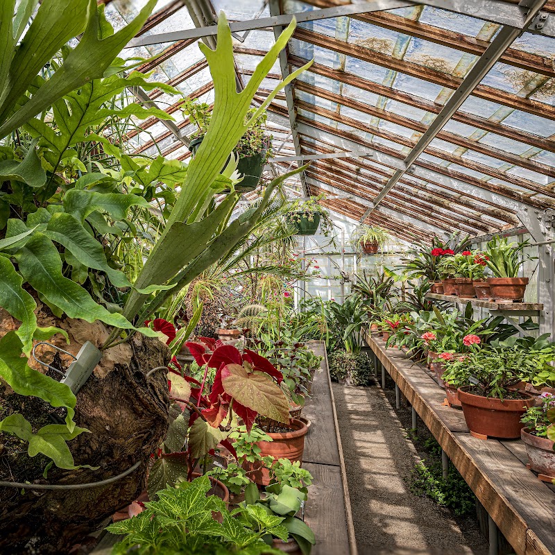 Friends of Bush Gardens