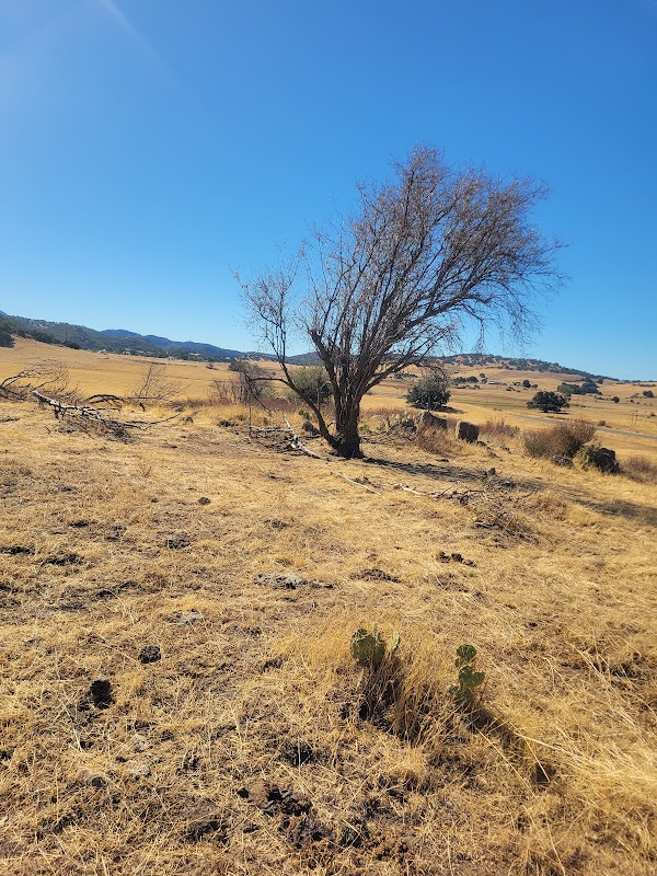 The Ballfields at Santa Ysabel Mission