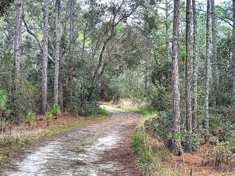 Lake Lizzie Conservation Area North Trailhead