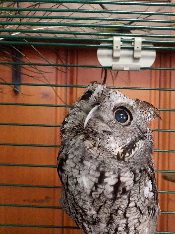 New Britain Youth Museum At Hungerford Park