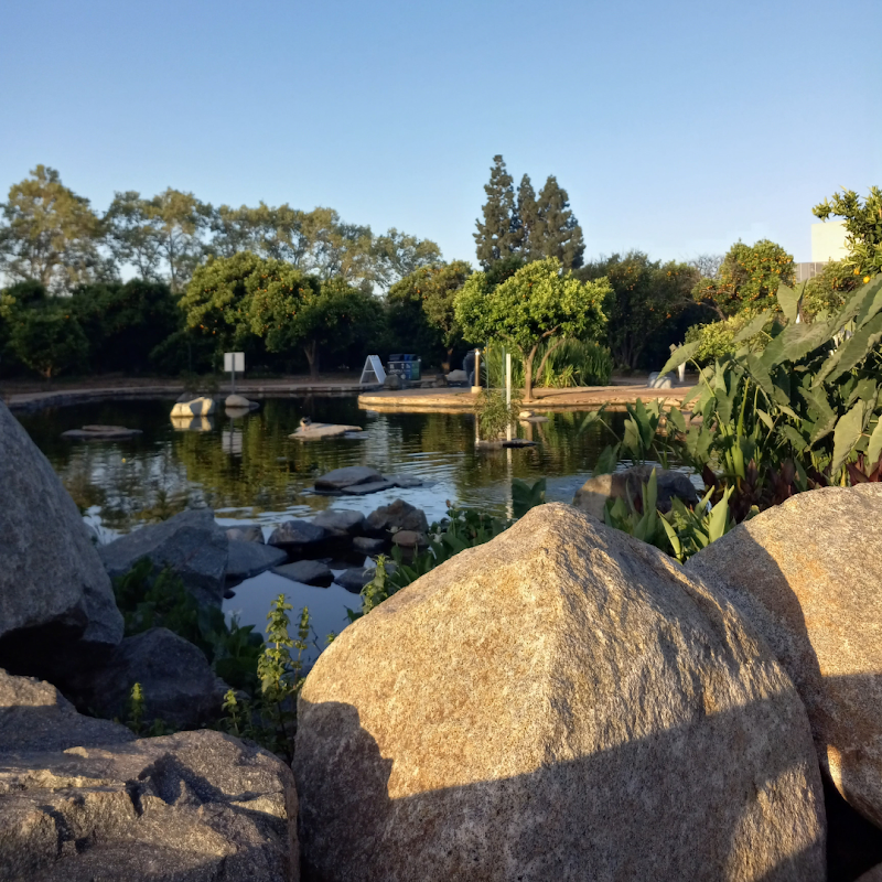 The Last Orange Grove in the Valley