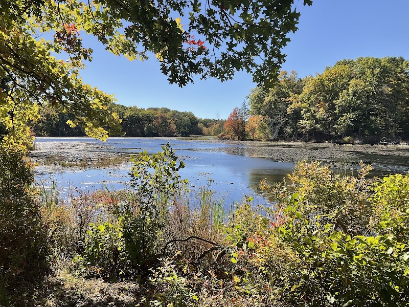 Lake Walton Preserve
