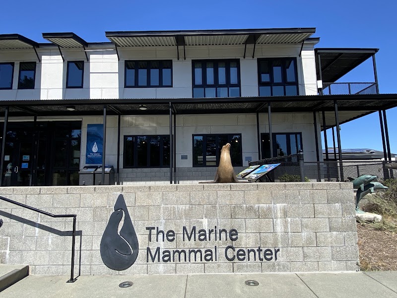 The Marine Mammal Center