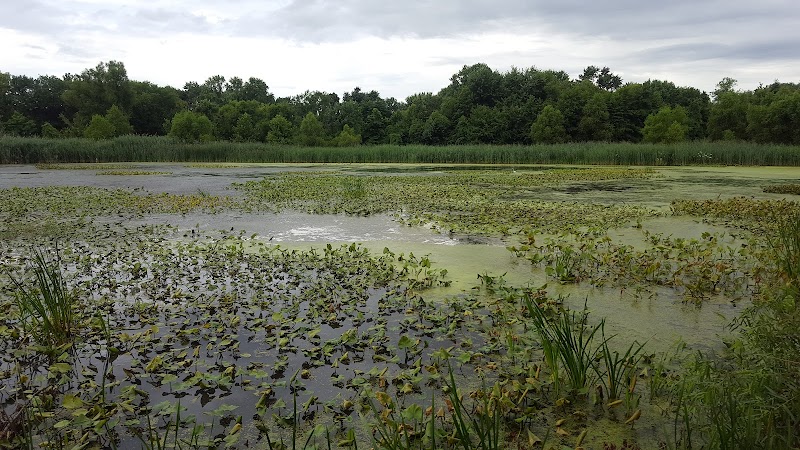 Hermesprota Creek Park