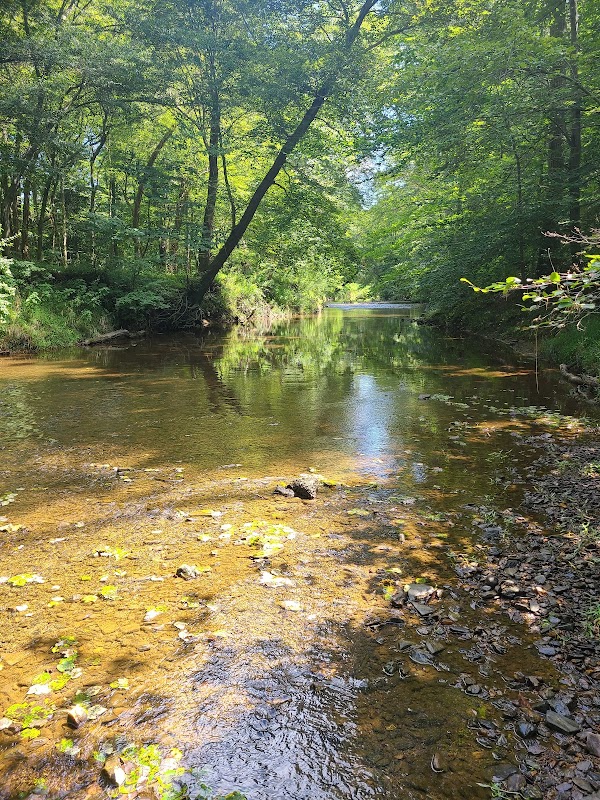 Webb Nature Sanctuary