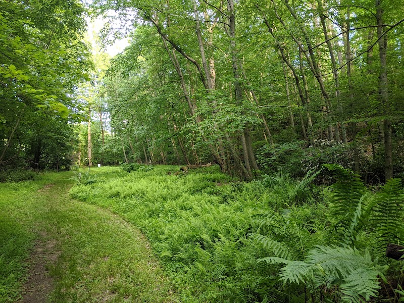Webb Nature Sanctuary