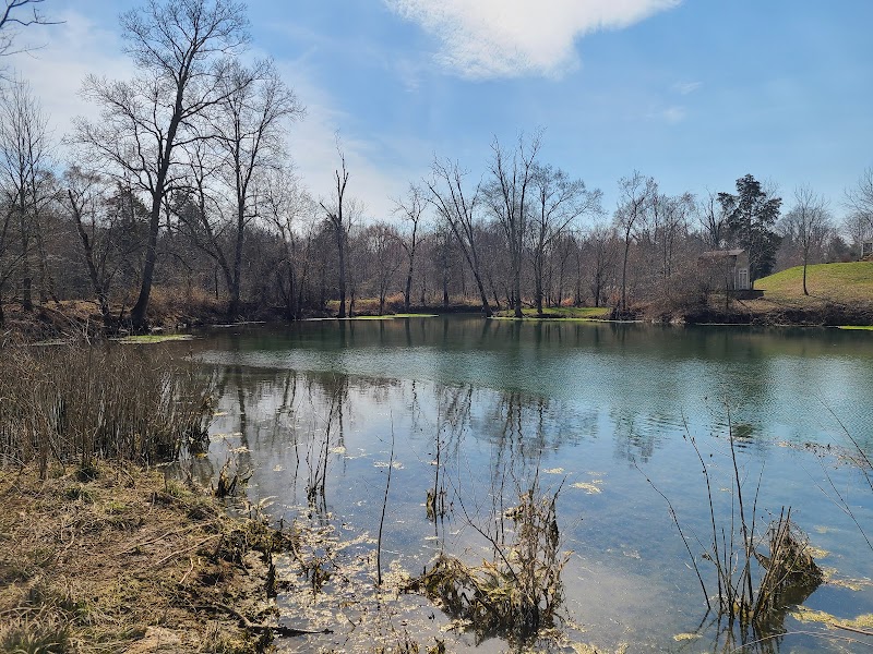 Roy Arthur Stormwater Park