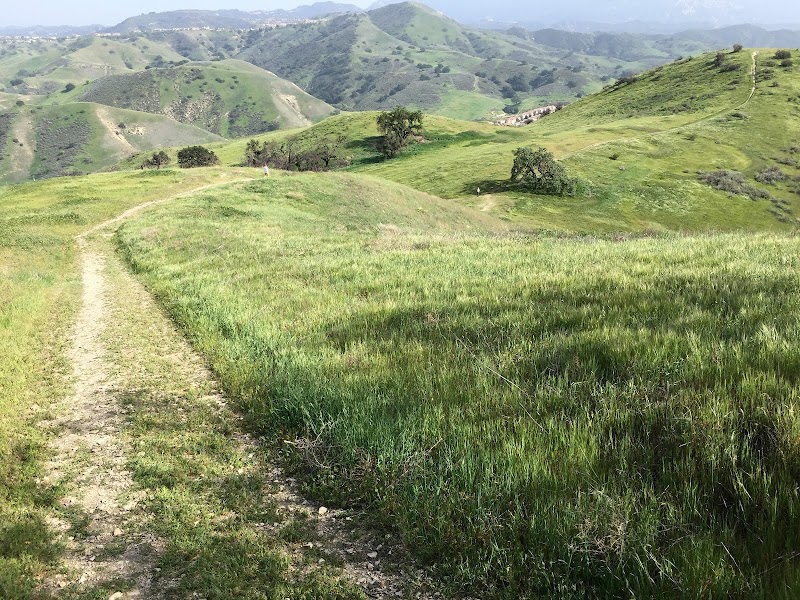 Zev Yaroslavsky Las Virgenes Highlands Park