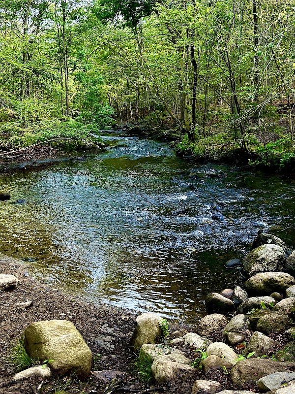 Lake Mohegan Recreational Area