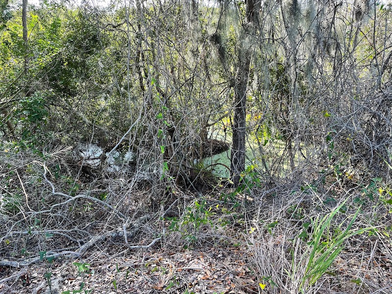 Terra Ceia Preserve Frog Creek
