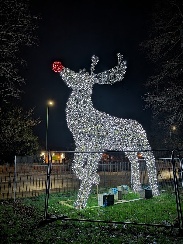 Reindeer